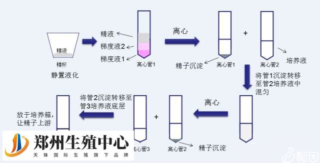 洗精原理与流程